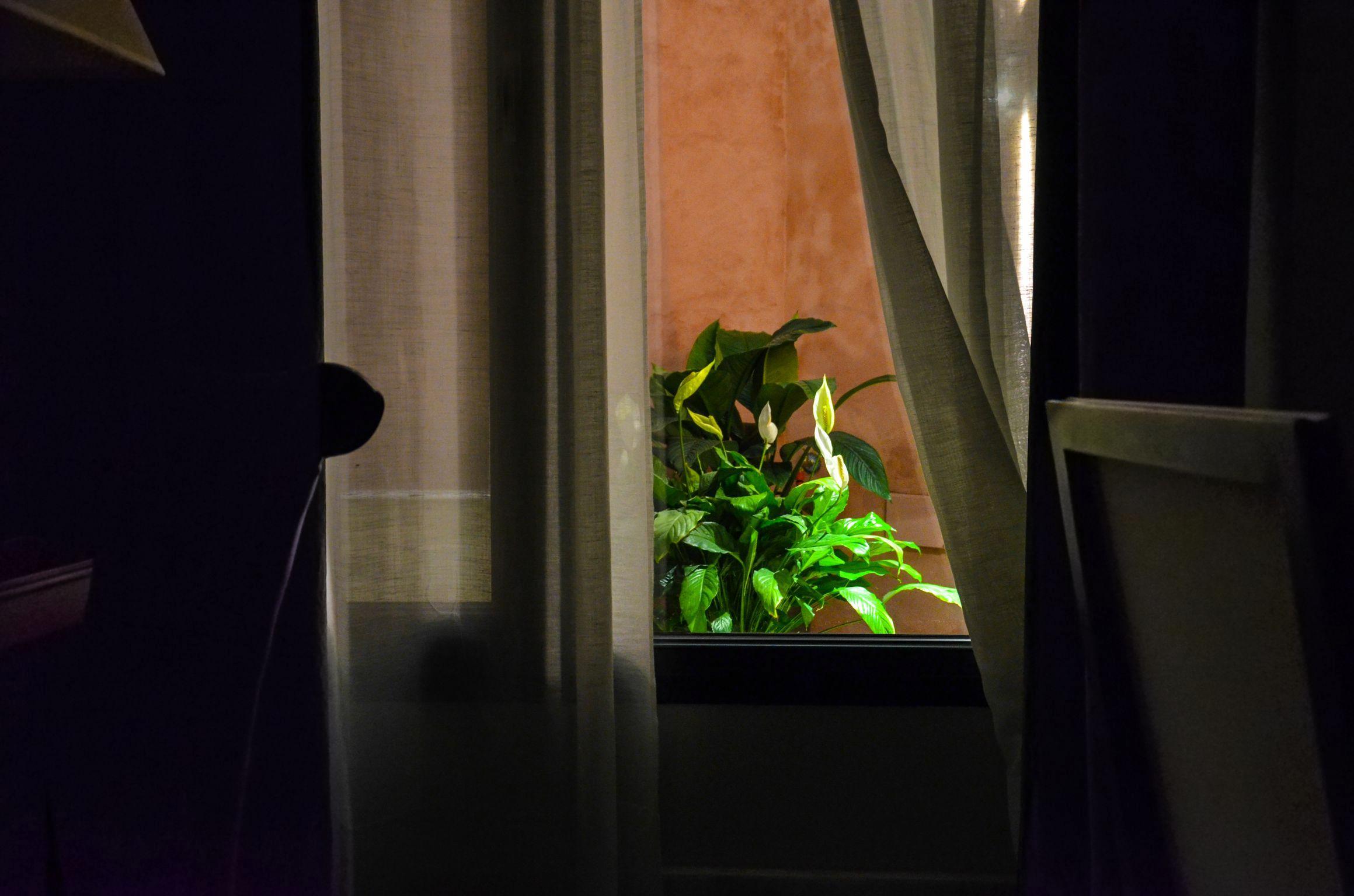 Aguilas5 Sevillasuites Zewnętrze zdjęcie